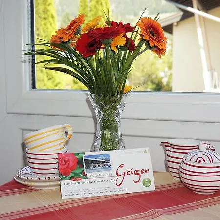 Apartment Geiger *
